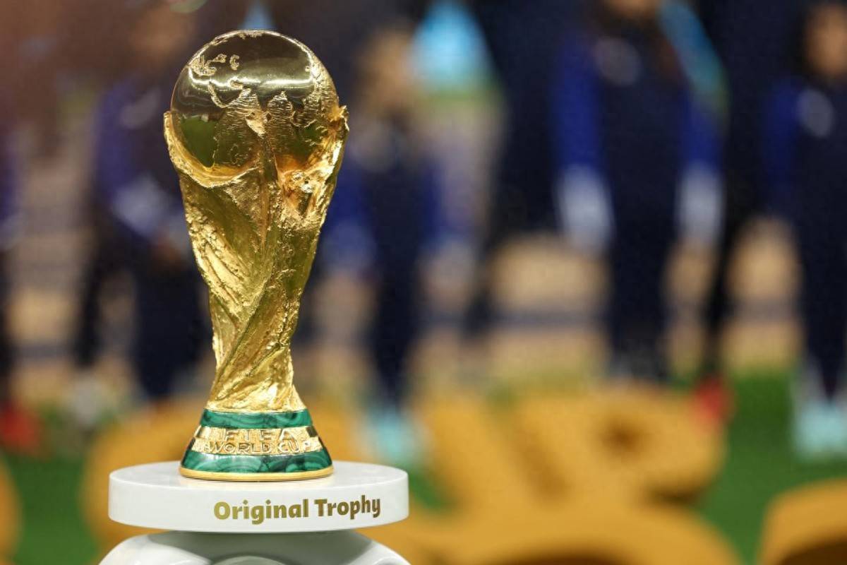 们提供一些 们提供一些