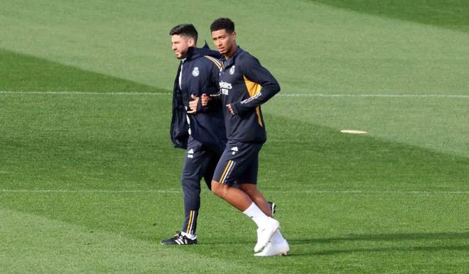 他们的世界 他们的世界