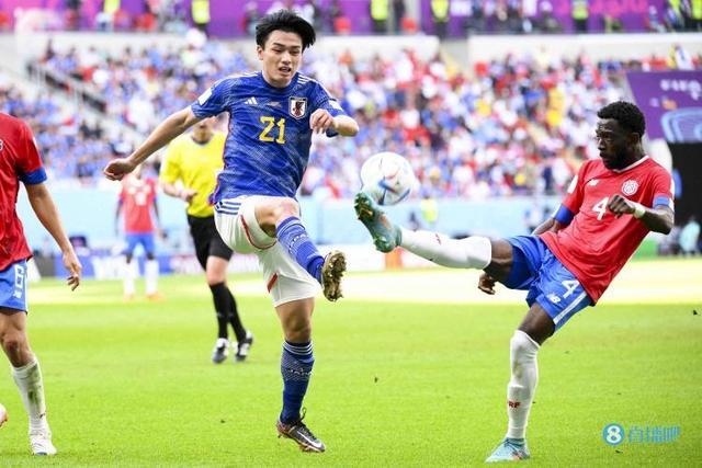 可以预见 可以预见