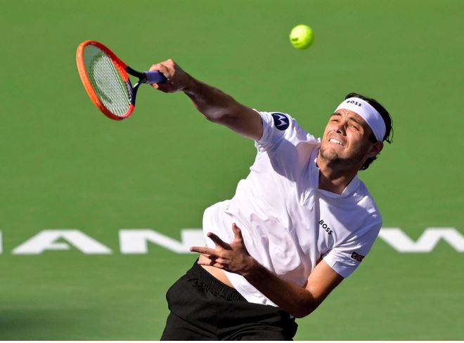 仅凸显了她 仅凸显了她